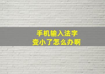 手机输入法字变小了怎么办啊