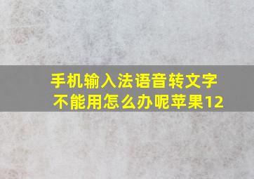 手机输入法语音转文字不能用怎么办呢苹果12