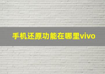 手机还原功能在哪里vivo