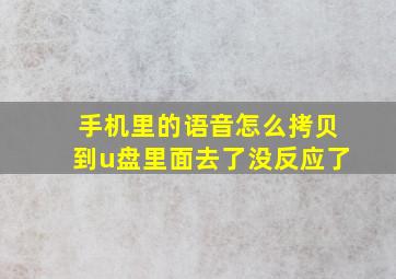 手机里的语音怎么拷贝到u盘里面去了没反应了