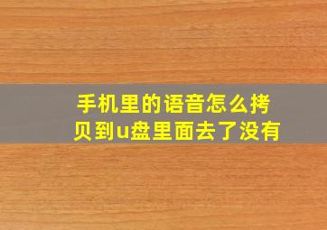 手机里的语音怎么拷贝到u盘里面去了没有