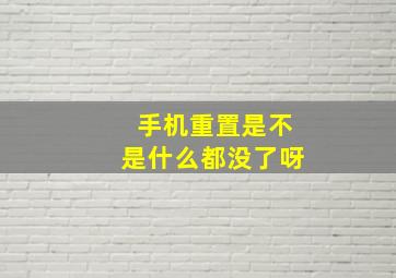 手机重置是不是什么都没了呀