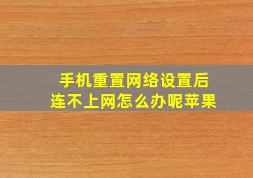 手机重置网络设置后连不上网怎么办呢苹果