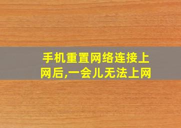 手机重置网络连接上网后,一会儿无法上网