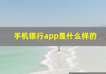 手机银行app是什么样的