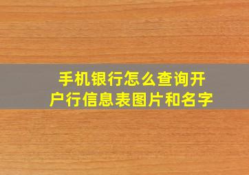 手机银行怎么查询开户行信息表图片和名字