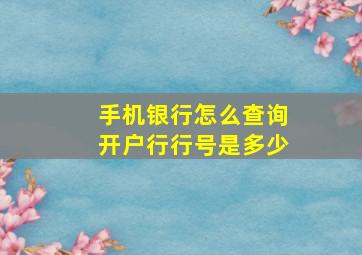 手机银行怎么查询开户行行号是多少