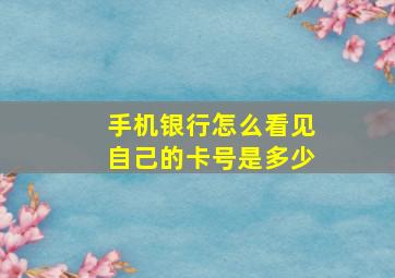 手机银行怎么看见自己的卡号是多少