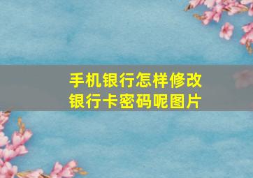 手机银行怎样修改银行卡密码呢图片