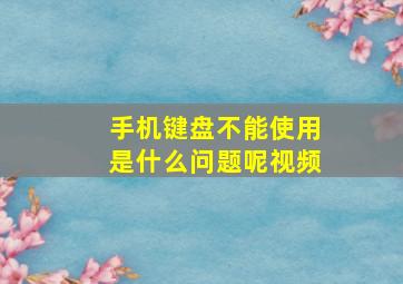 手机键盘不能使用是什么问题呢视频