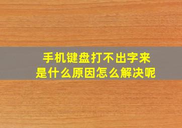 手机键盘打不出字来是什么原因怎么解决呢