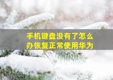 手机键盘没有了怎么办恢复正常使用华为