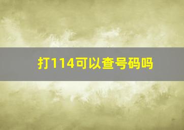 打114可以查号码吗