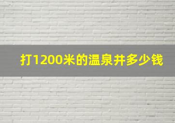 打1200米的温泉井多少钱