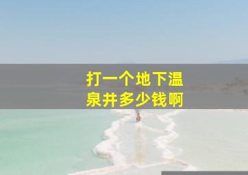 打一个地下温泉井多少钱啊