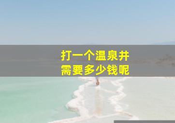 打一个温泉井需要多少钱呢