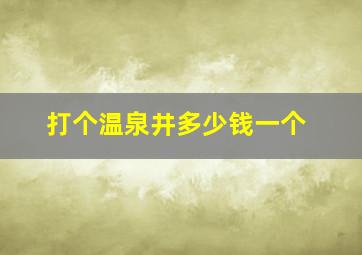 打个温泉井多少钱一个