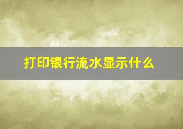 打印银行流水显示什么