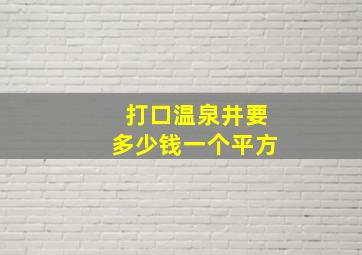 打口温泉井要多少钱一个平方