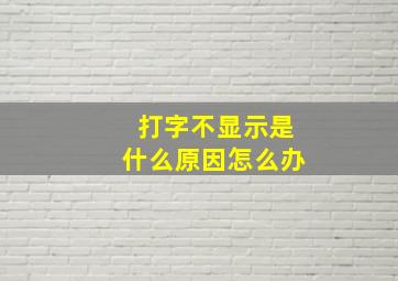 打字不显示是什么原因怎么办