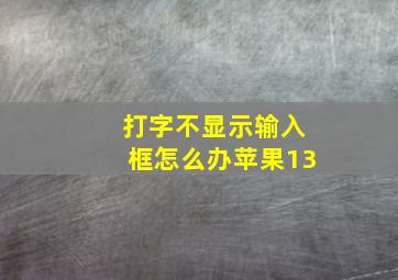 打字不显示输入框怎么办苹果13