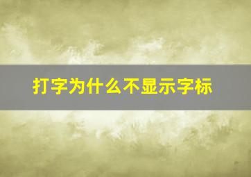 打字为什么不显示字标