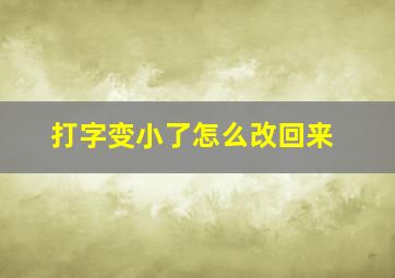 打字变小了怎么改回来