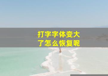 打字字体变大了怎么恢复呢