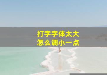 打字字体太大怎么调小一点