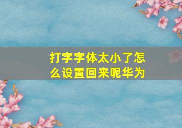 打字字体太小了怎么设置回来呢华为