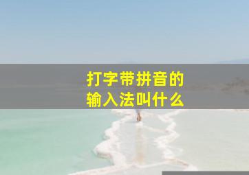 打字带拼音的输入法叫什么