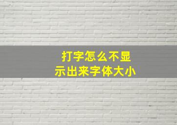 打字怎么不显示出来字体大小