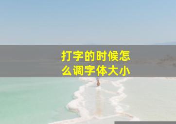 打字的时候怎么调字体大小