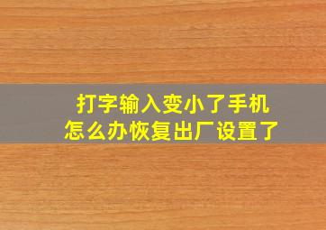 打字输入变小了手机怎么办恢复出厂设置了