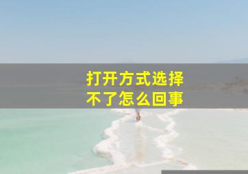 打开方式选择不了怎么回事