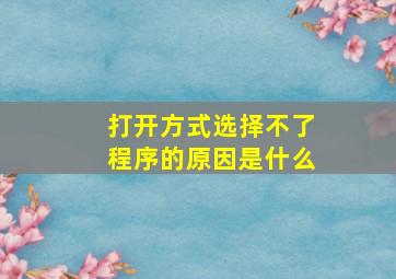 打开方式选择不了程序的原因是什么