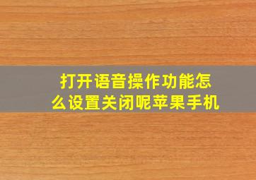 打开语音操作功能怎么设置关闭呢苹果手机