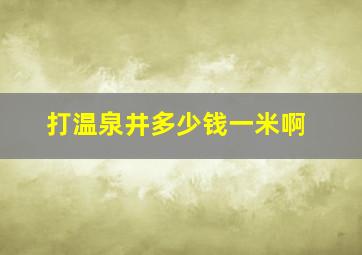 打温泉井多少钱一米啊