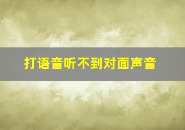 打语音听不到对面声音