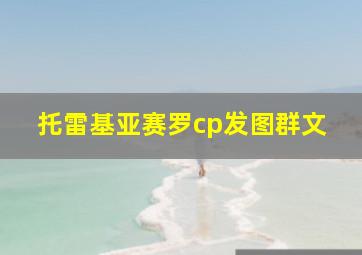 托雷基亚赛罗cp发图群文