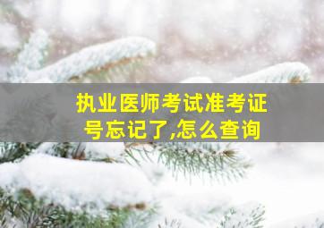 执业医师考试准考证号忘记了,怎么查询