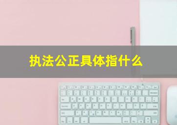 执法公正具体指什么