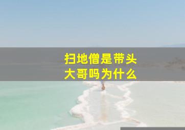 扫地僧是带头大哥吗为什么