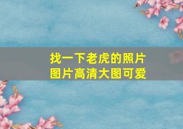 找一下老虎的照片图片高清大图可爱