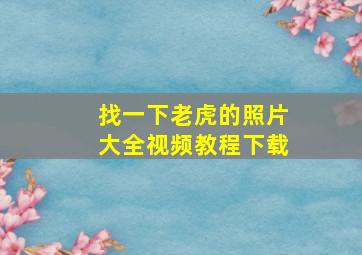 找一下老虎的照片大全视频教程下载