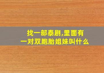 找一部泰剧,里面有一对双胞胎姐妹叫什么