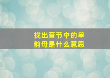 找出音节中的单韵母是什么意思