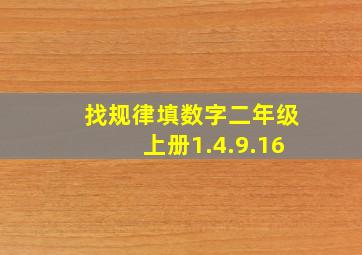 找规律填数字二年级上册1.4.9.16