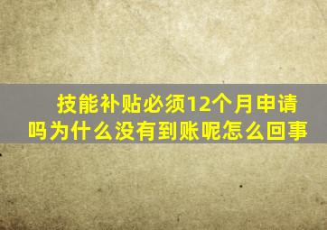 技能补贴必须12个月申请吗为什么没有到账呢怎么回事