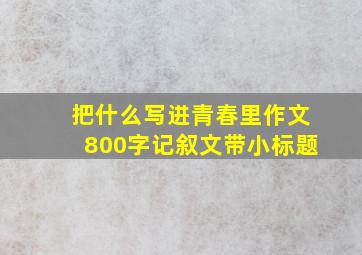 把什么写进青春里作文800字记叙文带小标题